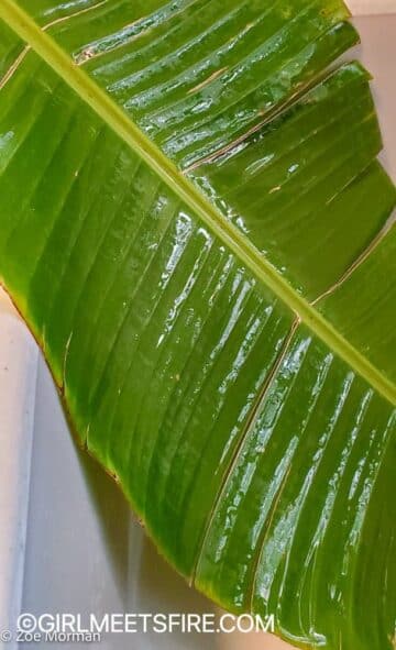 Banana leaves from my garden after being washed