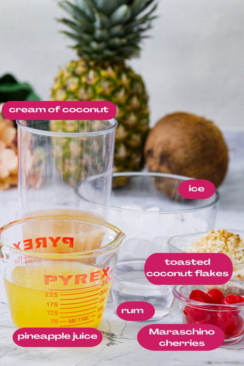 Puerto Rican Piña Colada | Girl Meets Fire